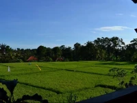 Dana Sari Accommodation / Danasari Accomodation 2*
