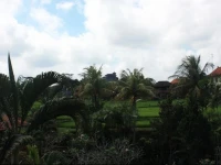 Raditia Homestay 