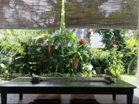 Runa Guesthouse 