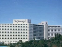 Narita Excel Tokyu 4*
