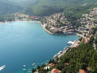 Mimoza 3*