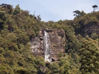 Hillcot Bungalow 3*