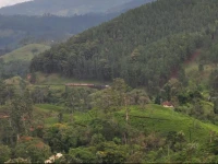 Country Comfort Hotel Ella 3*