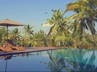 Manyi Village Ubud 