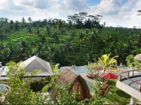 Puri Sebali Resort Ubud 