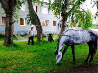 Karelia park hotel