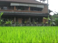 Ubud Sensasi Bungalows 