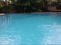 Puri Kayu Cottage 