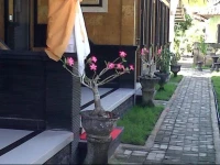 Kubu Nusa Bungalow 