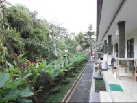 Citrus Tree Bed and Breakfast - Widia 