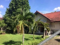 Dolphin House 