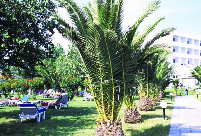 Mitsis Faliraki Beach 4*