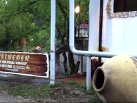 Belveder Eco Rest zone / Бельведер Эко Рест зон 3*