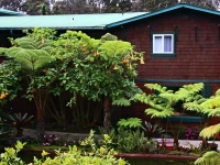 Chalet Kilauea - The Chalet Kilauea Collection 2*