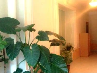 Evmary Guest House 3*