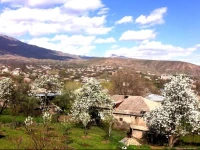 Nataly Guest House 3*