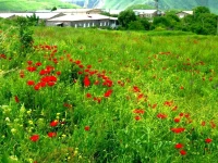 Azoyan Holiday Resort Hotel Sisian 2*