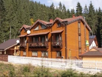 Arnika Polyanytsya / Арніка 