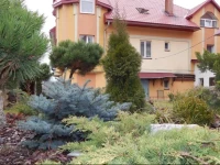 Shepit Karpat 4*