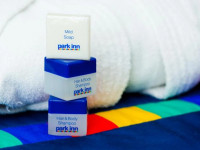 Park Inn by Radisson Sheremetyevo Airport Moscow