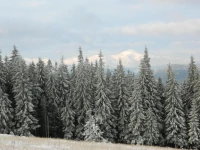Usadba Okhotnichiy Dvor 