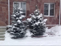 Горный Воздух Отель  3*