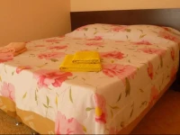 Амалия гостевой дом 1*