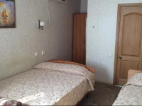 Александр Гостевой дом  3*