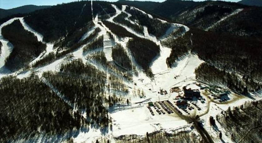 Березовый гостевой дом 3*