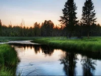 Березка гостевой дом 4*