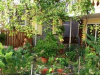 Гостевой дом Lovely Place 2*