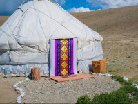 Camping Gold Camel 