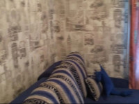 Parus Hostel