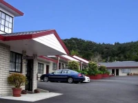 BKs Pohutukawa Lodge Motel 
