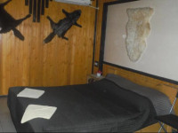 Letuchaya Mysh Guest House
