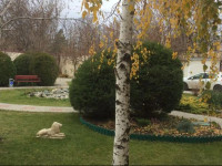 Zolotoy Lev Hotel