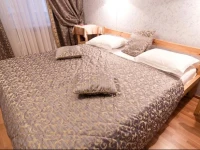 Отель Лебедушка на Кузнечном 3*