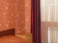 Бригит на Ладожской Мини-отель 3*