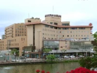 Castle hotel Akita 4*