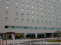J-hotel Rinku 3*