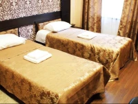 Граф Толстой отель 3*
