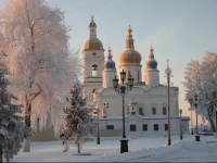 Гостиница Нефтехимик 5*