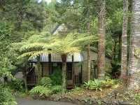 A Chalet In The Ferns 