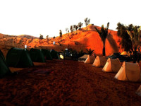 Bedouin Oasis Camp