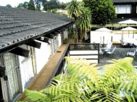 Mt Roskill Motor Inn 