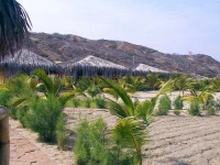 Balihai 