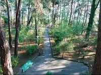 Ldzaa / Лдзаа 