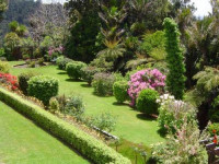 Aucklands Waitakere Estate