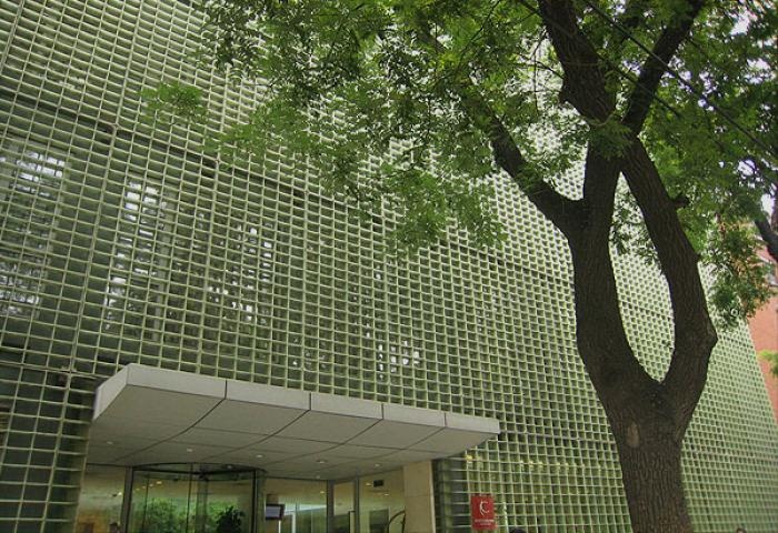 Kapok 