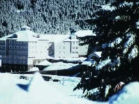 Magic Life Kartanesi 5*